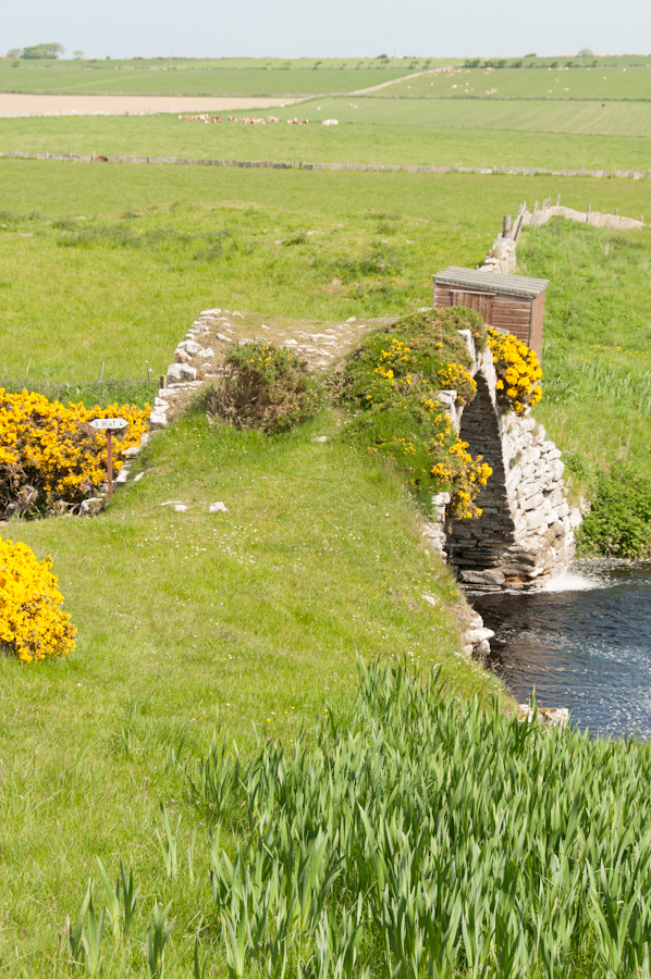 Old Bridge of Forss